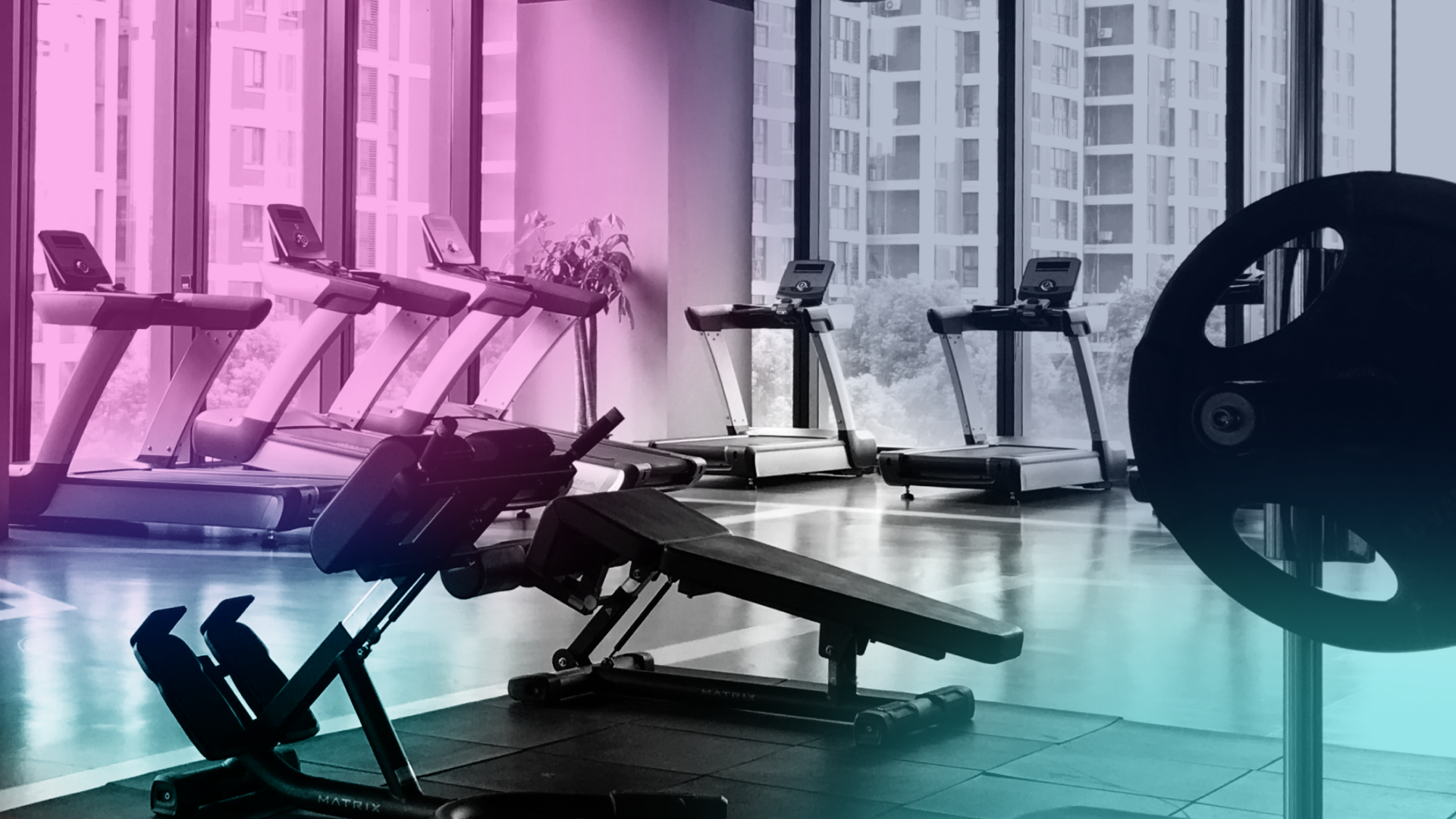 How Often Should You Go To The Gym? – ZOZOFIT